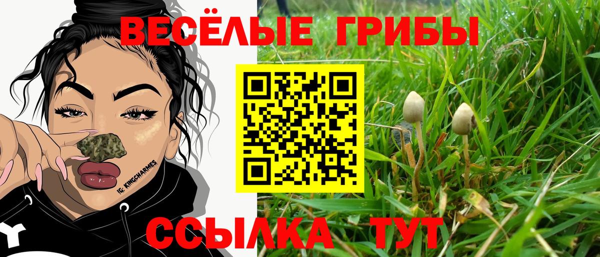 Галлюциногенные грибы Psilocybine cubensis  Вход с VPN  Вичуга 